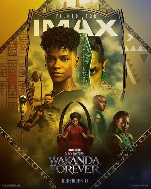 Black-Panther-Wakanda-Forever-2022-MCU-Hindi-Dubbed-Full-Movie-BluRay-HD-ESub-(openmovie.online)